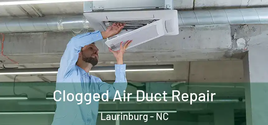  Clogged Air Duct Repair Laurinburg - NC