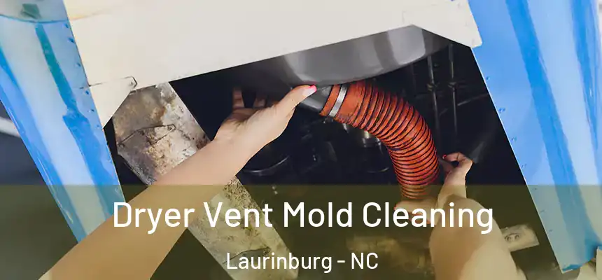  Dryer Vent Mold Cleaning Laurinburg - NC