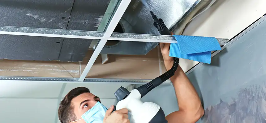 Our Air Duct Rodent Removal Services in Laurinburg, NC