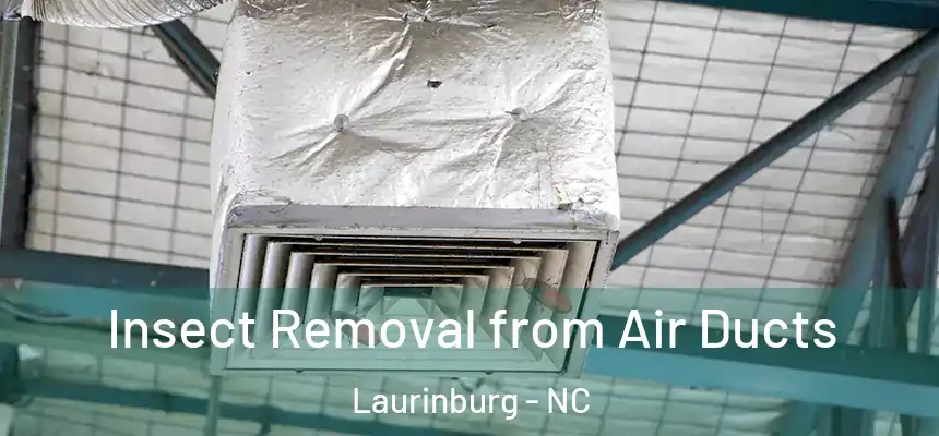  Insect Removal from Air Ducts Laurinburg - NC