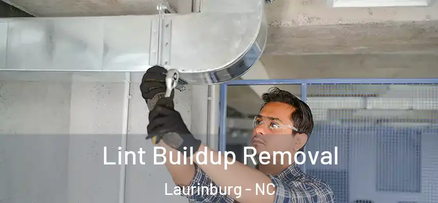  Lint Buildup Removal Laurinburg - NC