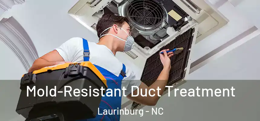  Mold-Resistant Duct Treatment Laurinburg - NC