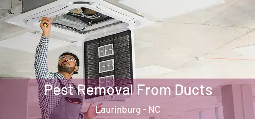  Pest Removal From Ducts Laurinburg - NC
