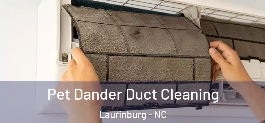  Pet Dander Duct Cleaning Laurinburg - NC