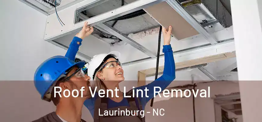  Roof Vent Lint Removal Laurinburg - NC