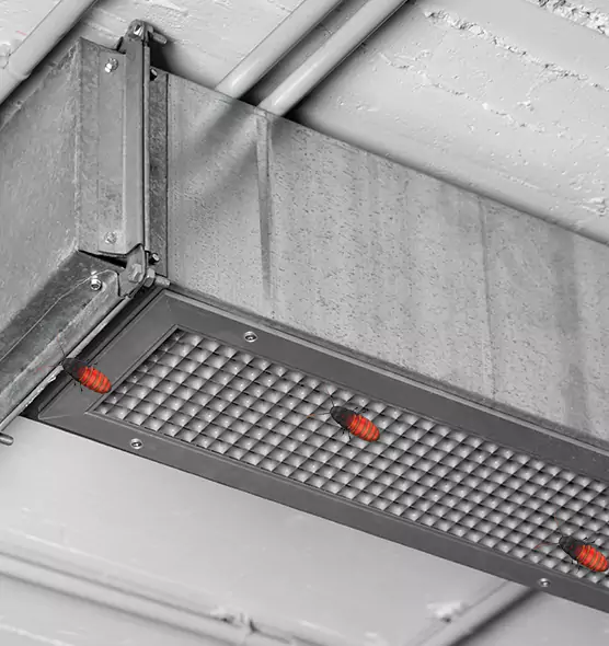 Affordable Insect Removal from Air Ducts in Laurinburg, NC