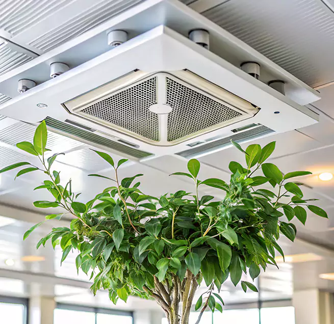 Why Homeowners & Businesses Trust Us in Laurinburg, NC?